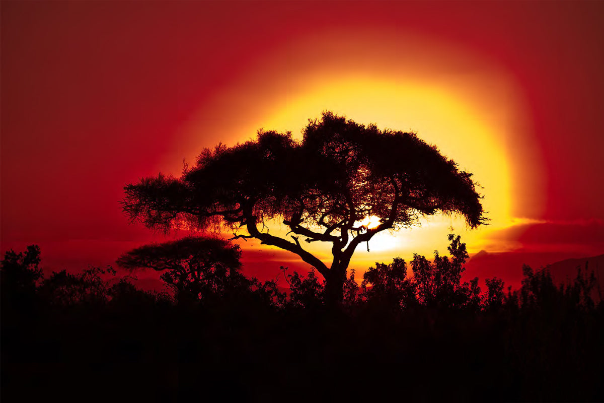 Year-end tax requirements for countries in the South African Development Community