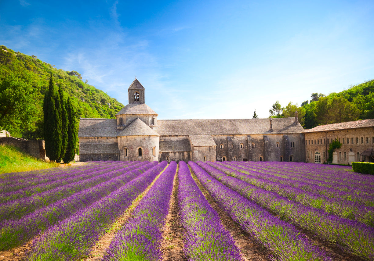 Overview of Payroll in France - Combined