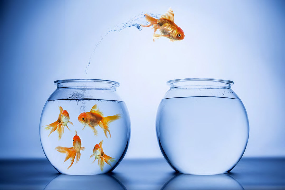 How to succeed at work by exploiting your full potential