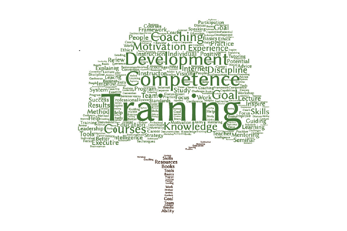 A guide to getting the most out of your payroll training