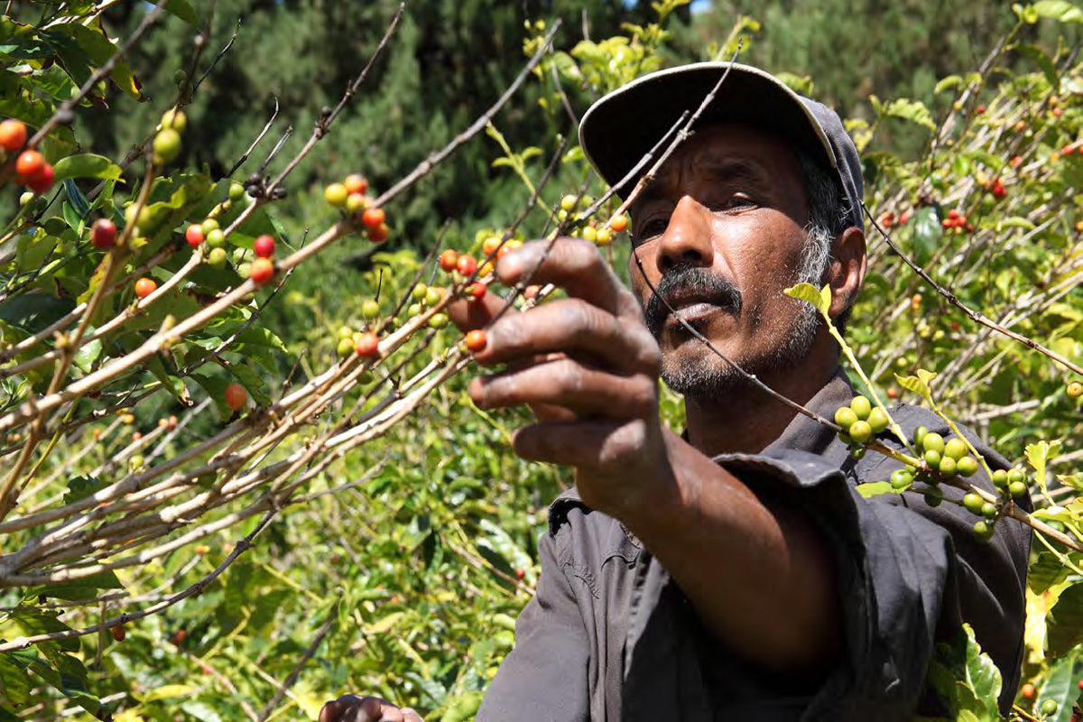 A brief guide to Colombia’s labour laws