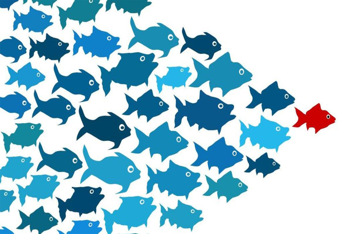 The Importance of developing leadership skills in young workers