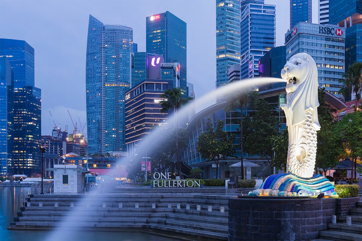 A guide to setting up business in Singapore