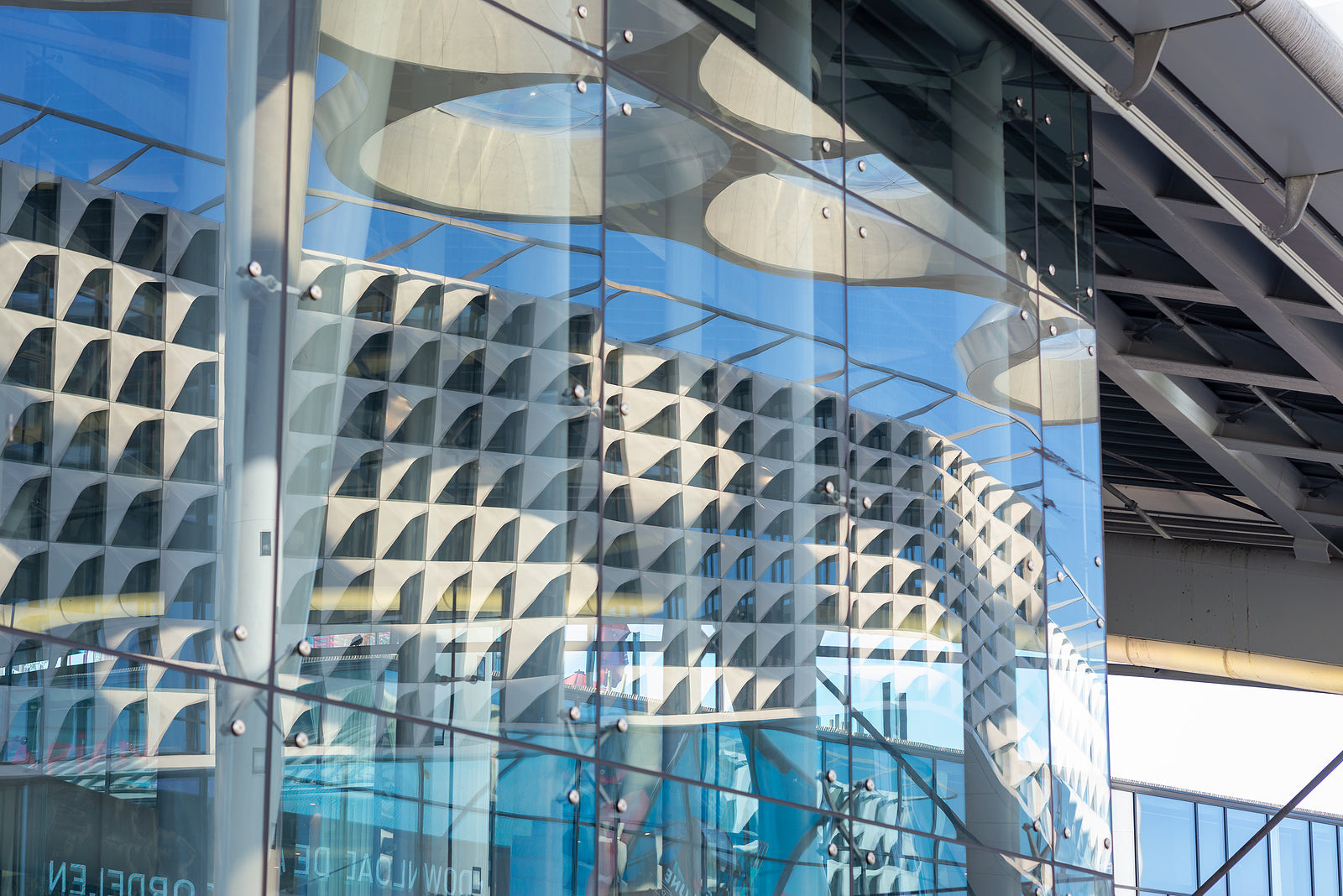 [Netherlands] Professional growth opportunities and benefits for expats