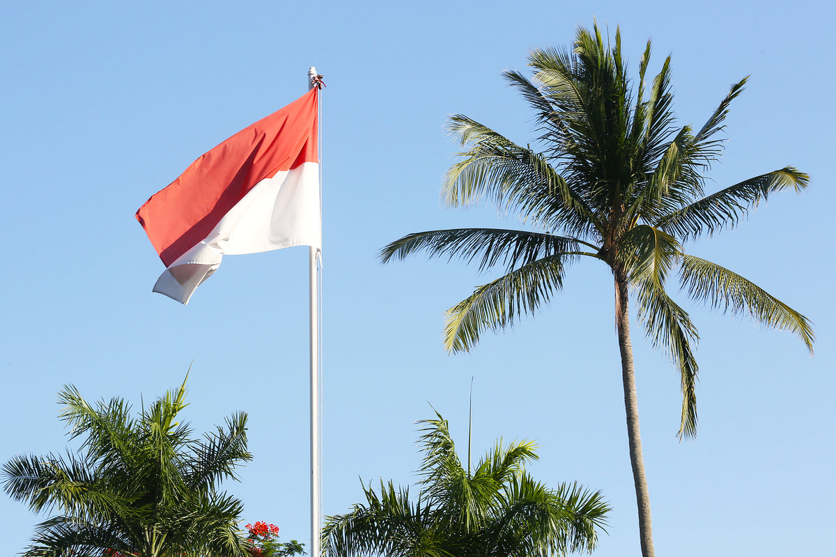 [Indonesia] Controversial jobs decree passed into law