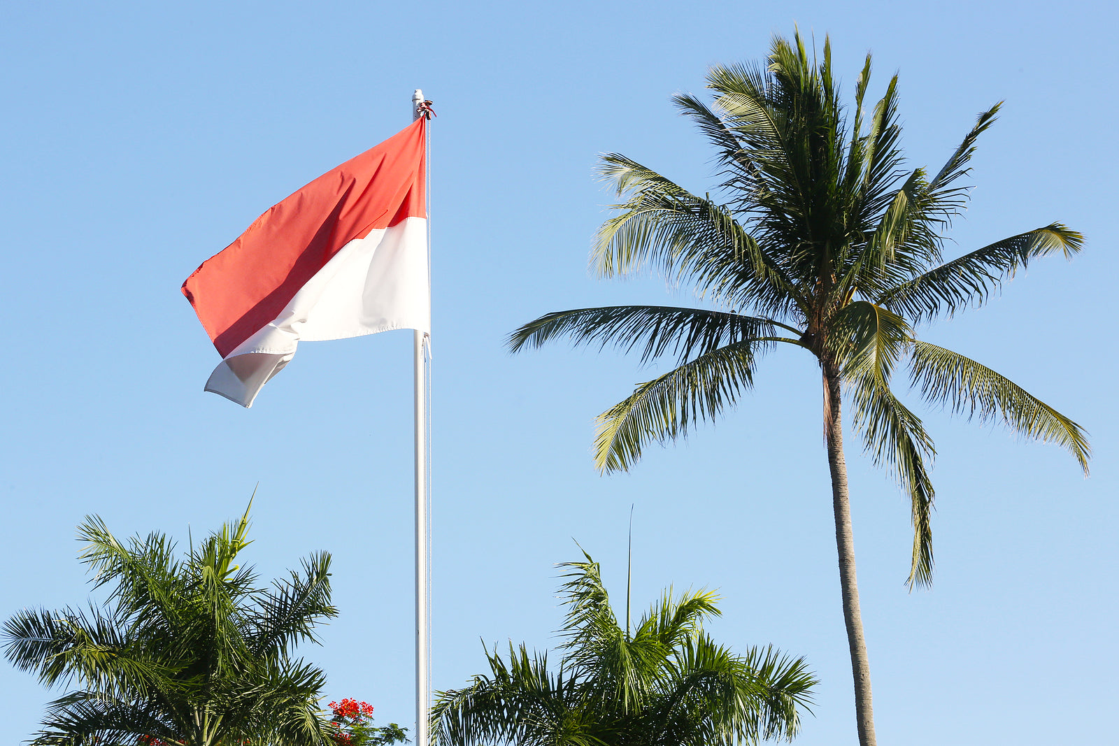 [Indonesia] Controversial jobs decree passed into law