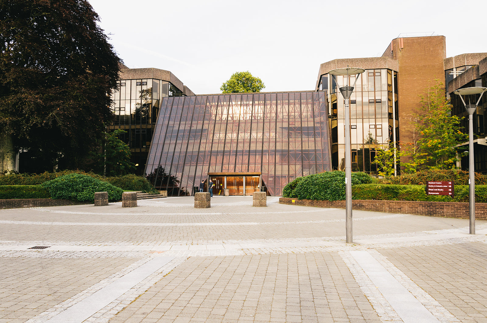 [Ireland] University of Limerick must pay €50,000 for counsellor’s forced retirement