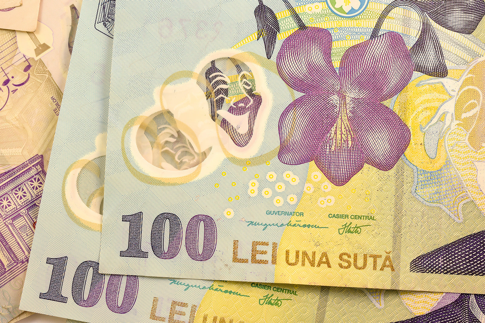 [Romania] Incoming national minimum wage increase