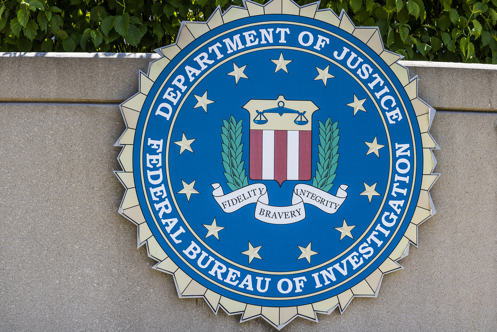 [US] FBI seeking woman over $34m COVID-19 funds scam