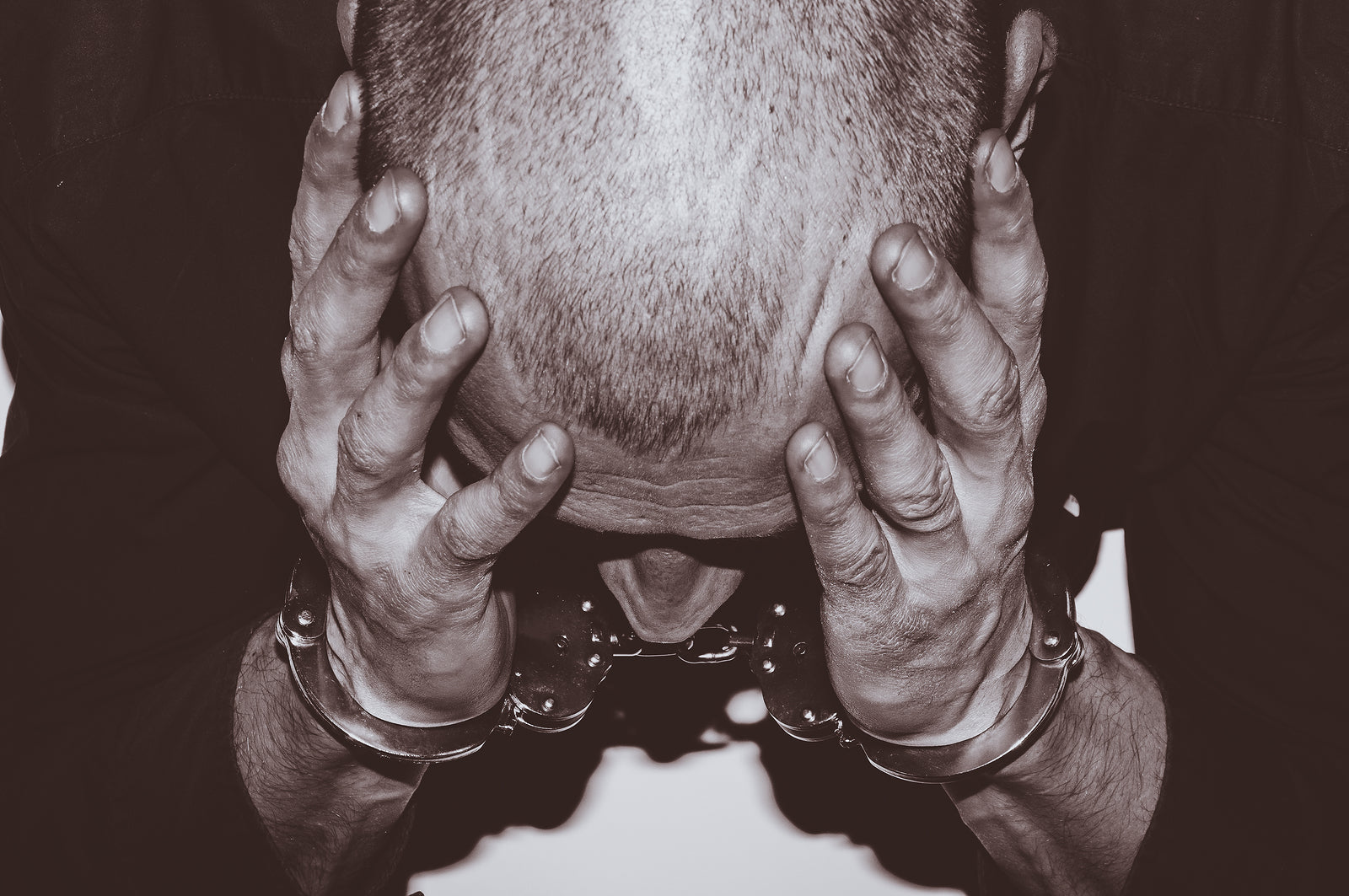 Plutus Payroll exec pleads guilty to defrauding Australian Tax Office