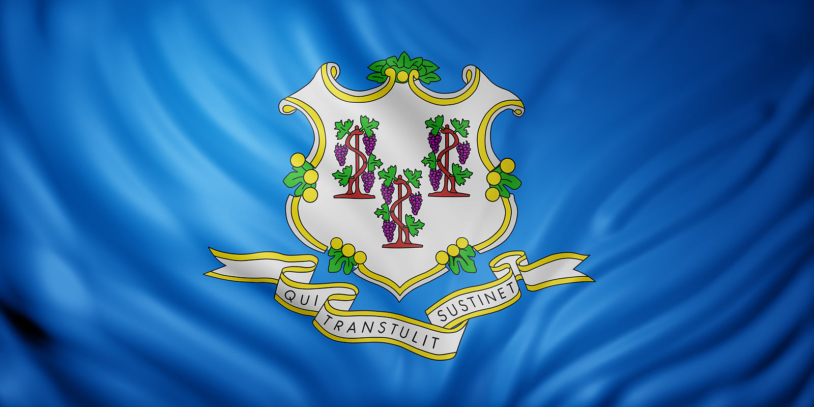 [Connecticut] Questions raised about external award of paid leave contract
