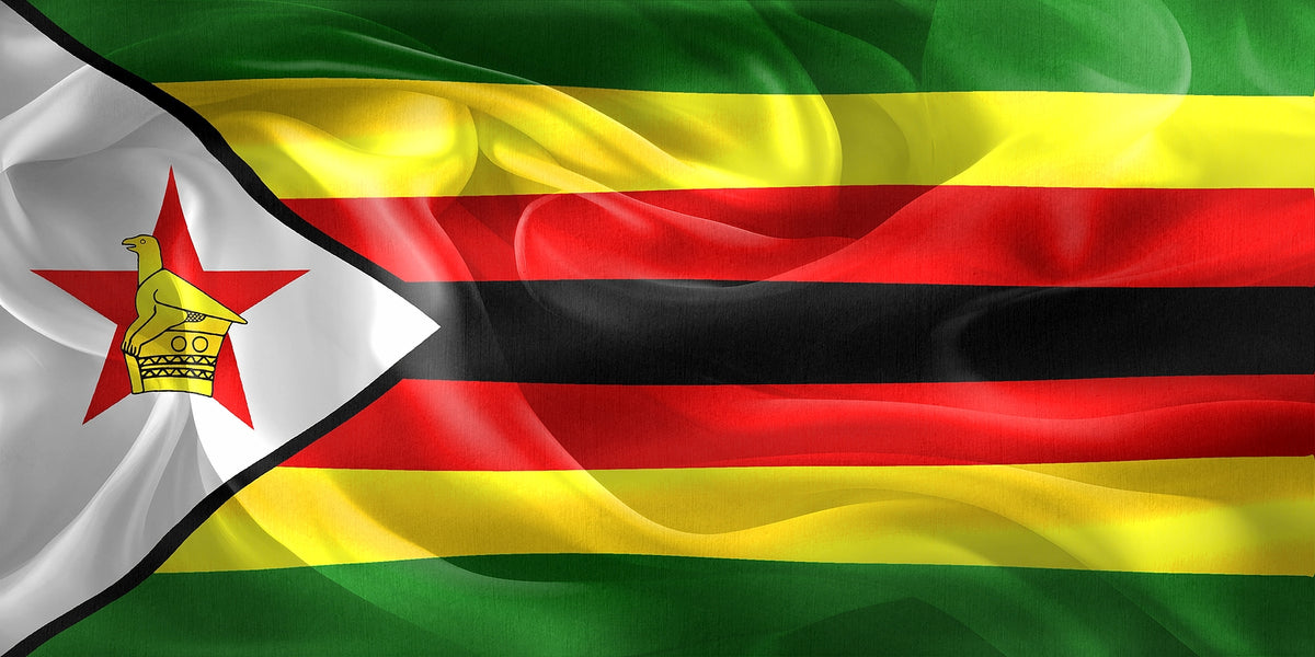 [Zimbabwe] PAYE and personal income tax review