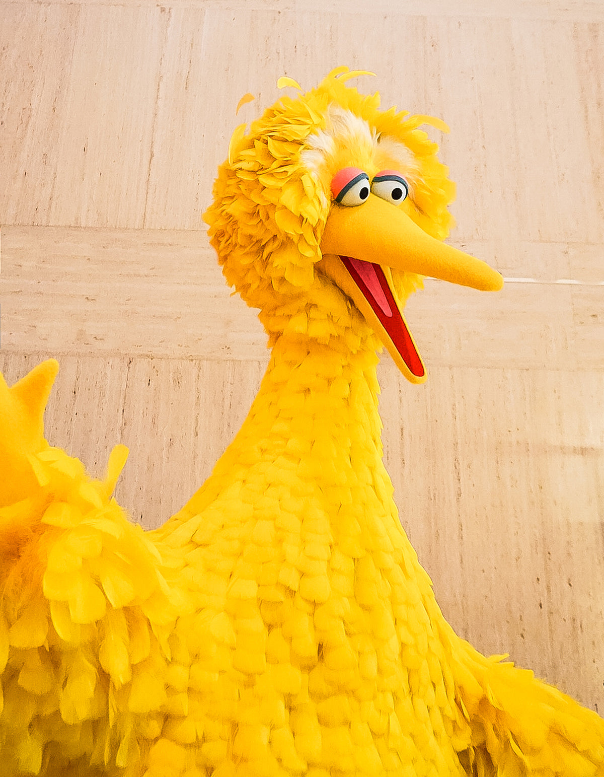 [US] Sesame Street writers’ strike averted