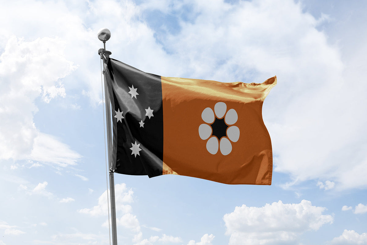 [Australia] Northern Territory government's $5m payroll automation program
