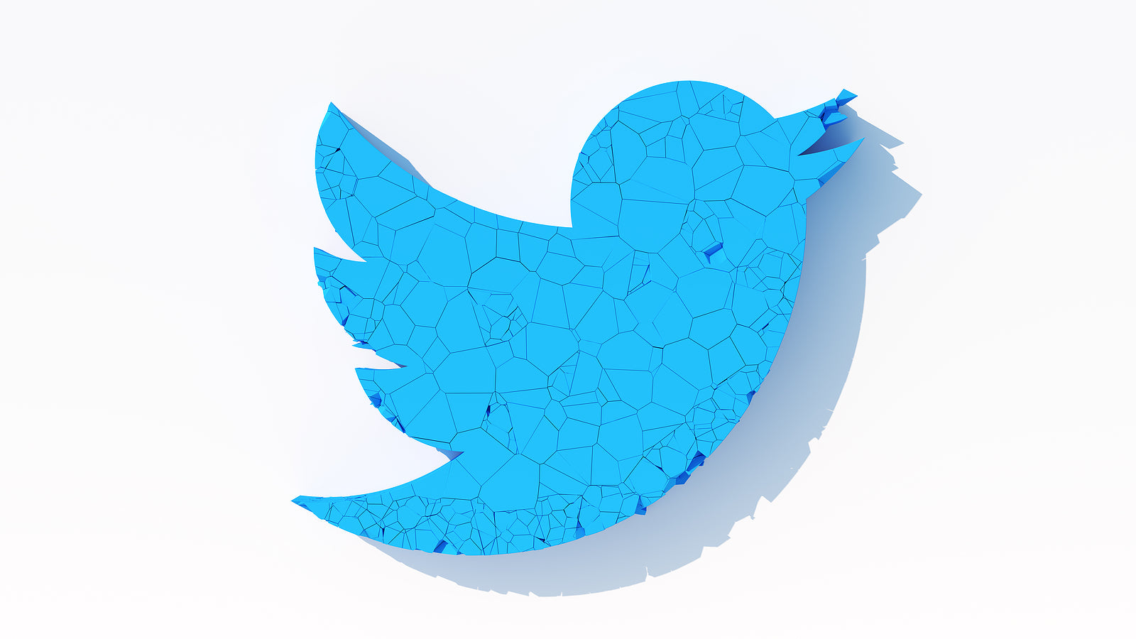[Global] Twitter loses another head of trust and safety under Musk’s reign