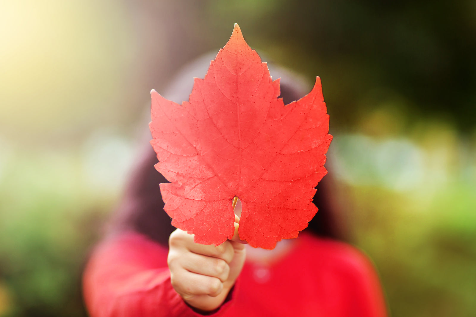 Canadian govt plans to bypass payroll emergency controls branded “risky”