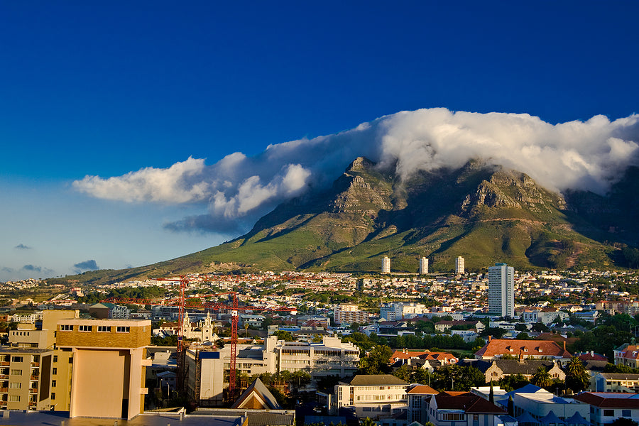 [South Africa] Post-pandemic navigation of dismissals, resignations and retrenchments