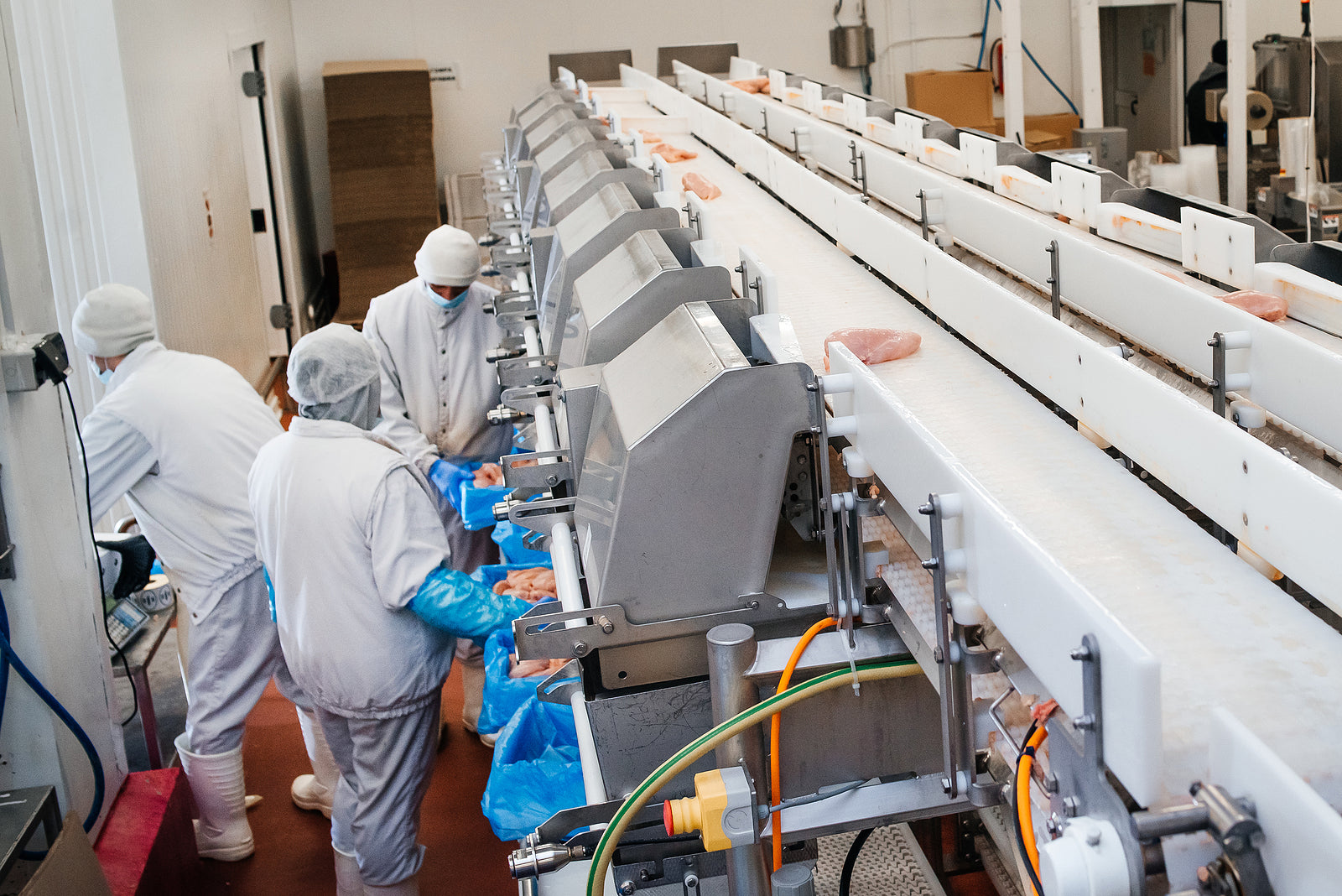 [Global] ‘Orange collar’ workers are not the answer to labour shortages