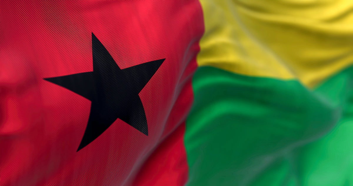 [Guinea-Bissau] Suspension of teachers’ salaries to weed out ghost workers