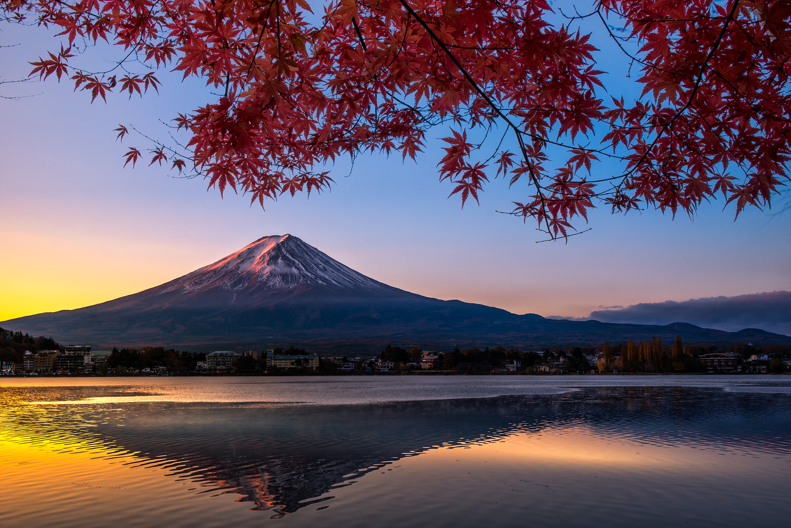 Japan attempts to boost uptake of My Number identity card