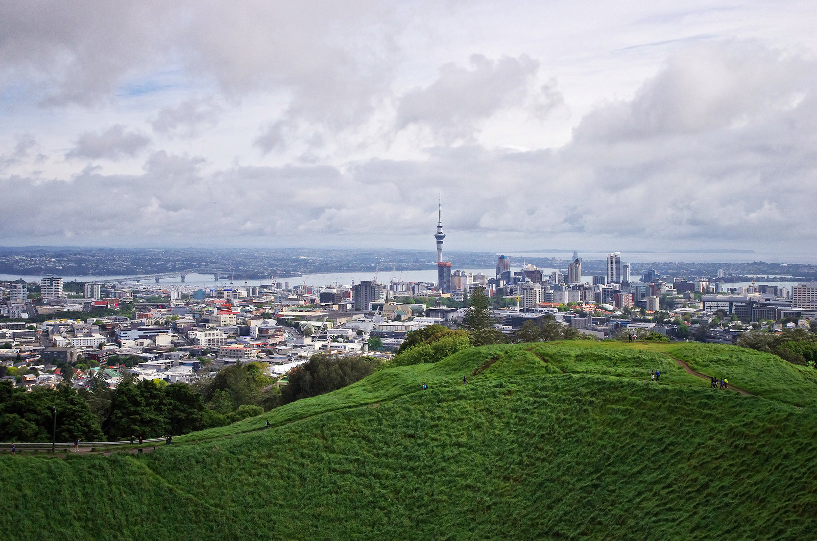 [New Zealand] Payroll officer stole $220k from Auckland District Health Board