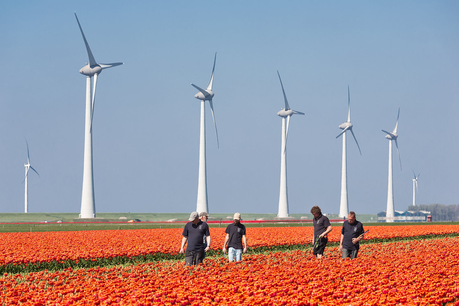 [Netherlands] Audit office criticised for failing to tackle pseudo-self-employment