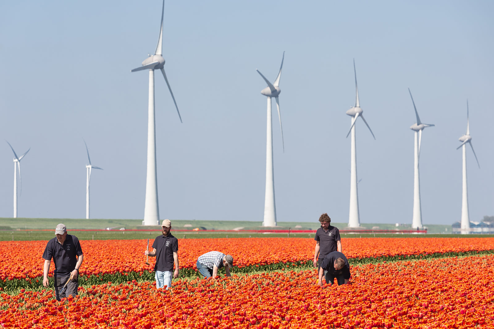 [Netherlands] 10% minimum wage rise to combat cost of living crisis