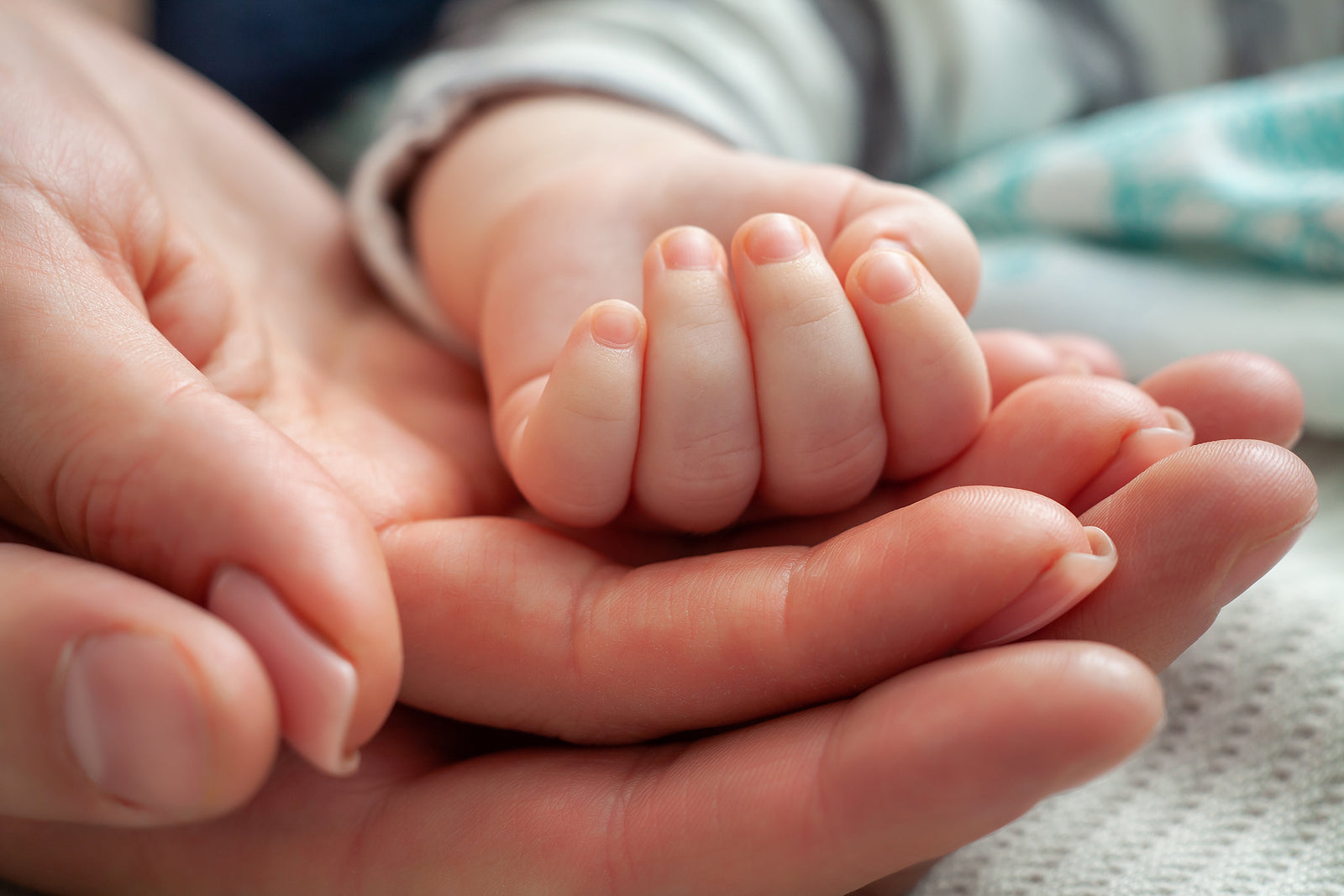 [Australia] GP takes on government over ‘ludicrous’ parental leave inequality