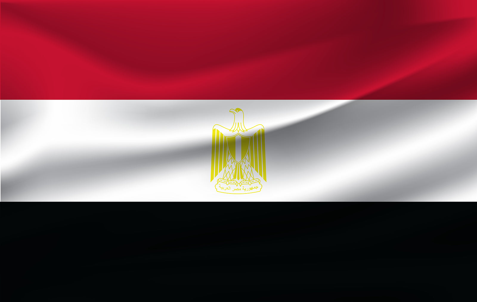 [Egypt] Government will set private sector minimum wage
