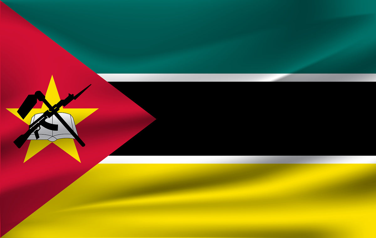 [Mozambique] Expats killed in terrorist attack on Palma