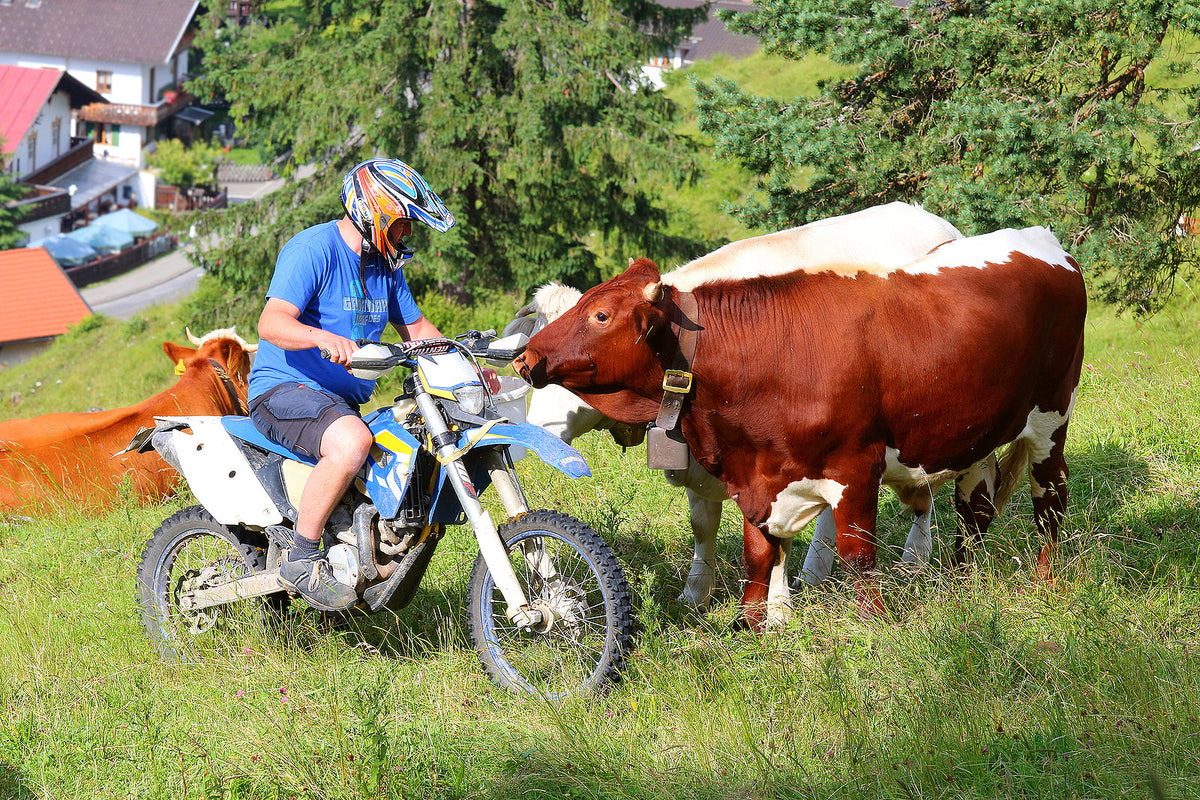 [Germany] Social insurance-free seasonal work limit lifted