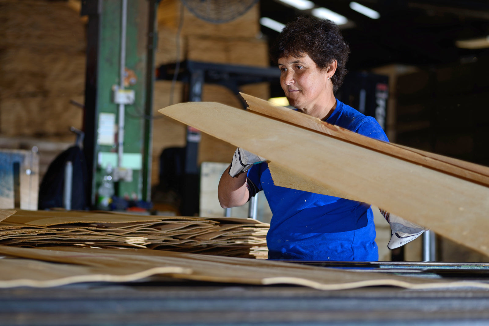 New Zealand launches apprenticeship-for-benefits scheme