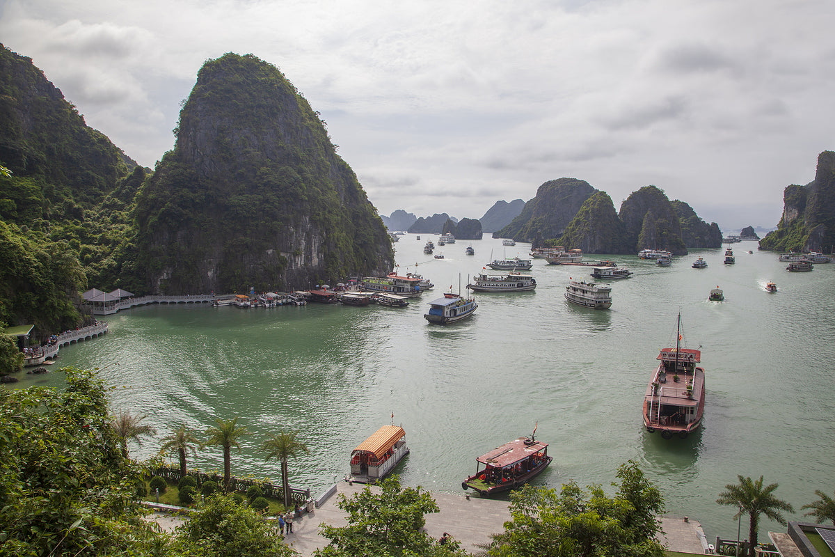 [Vietnam] How to implement Decree 41 on deferring tax payments