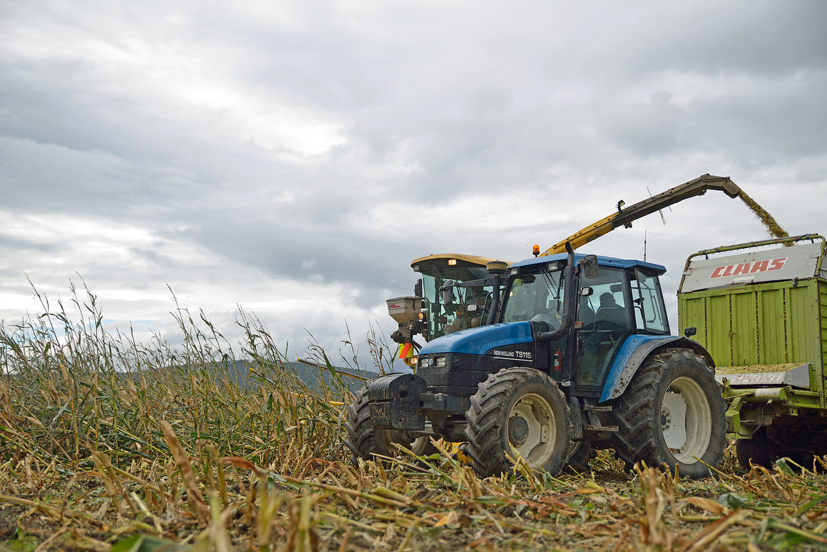 [New Zealand] Seasonal worker minimum wage will rise in April