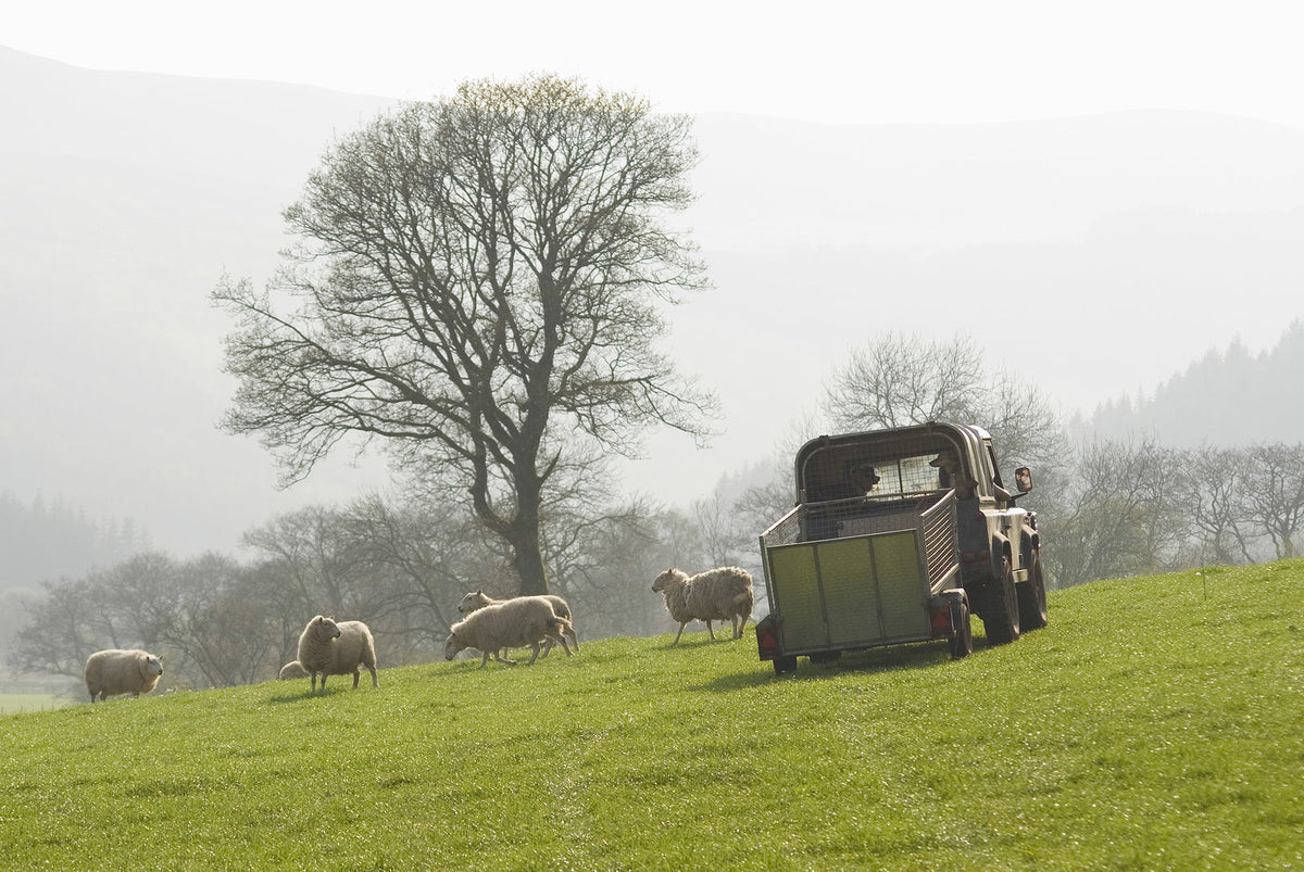 [Wales] HMRC orders NRW to pay £14.6m for IR35 failures