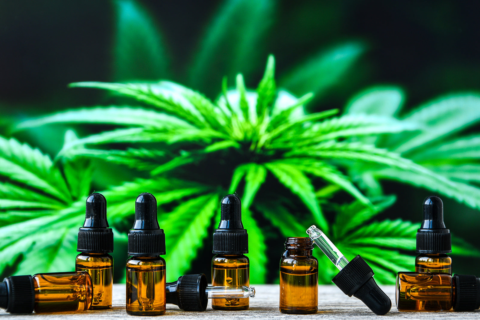 [US] Marijuana businesses are legally obliged to address labour issues