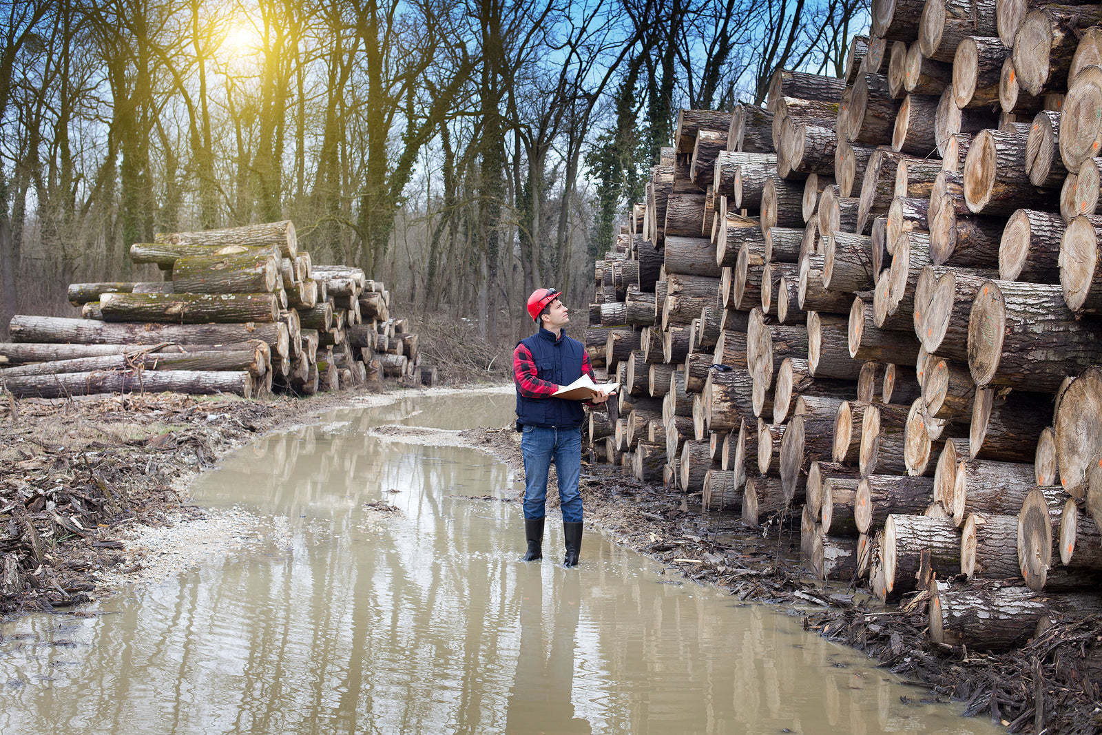 [Canada] Government extends EI relief for tariff-affected workers