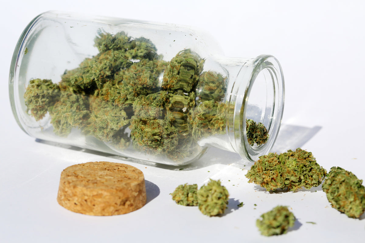 [New Jersey] Expansion of medical marijuana protections continues