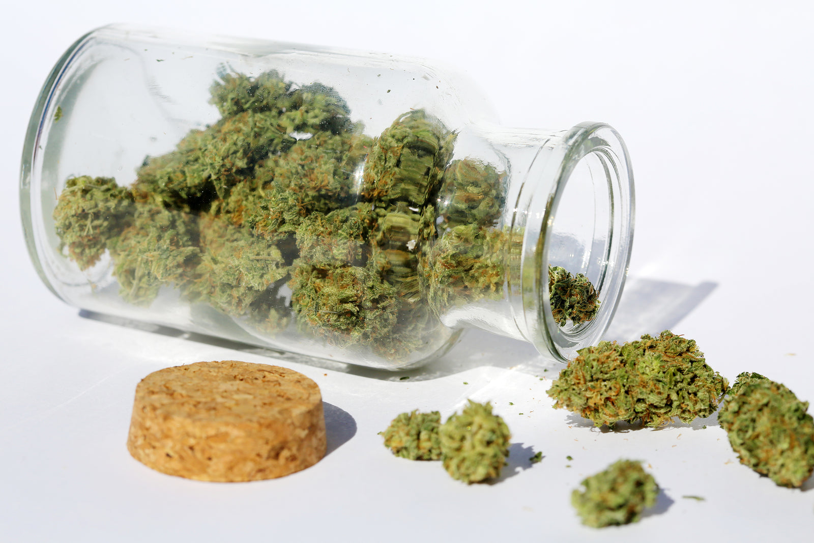 [New Jersey] Expansion of medical marijuana protections continues