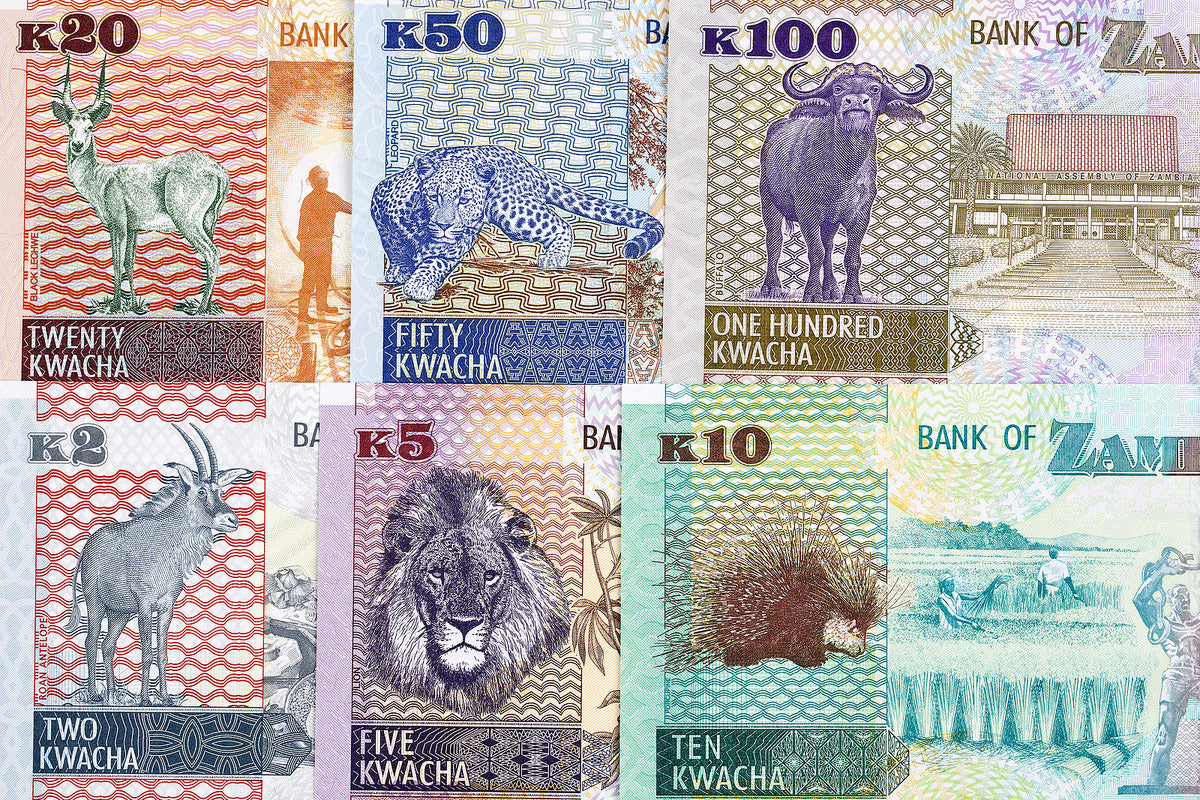 [Zambia] Investors should employ local experts