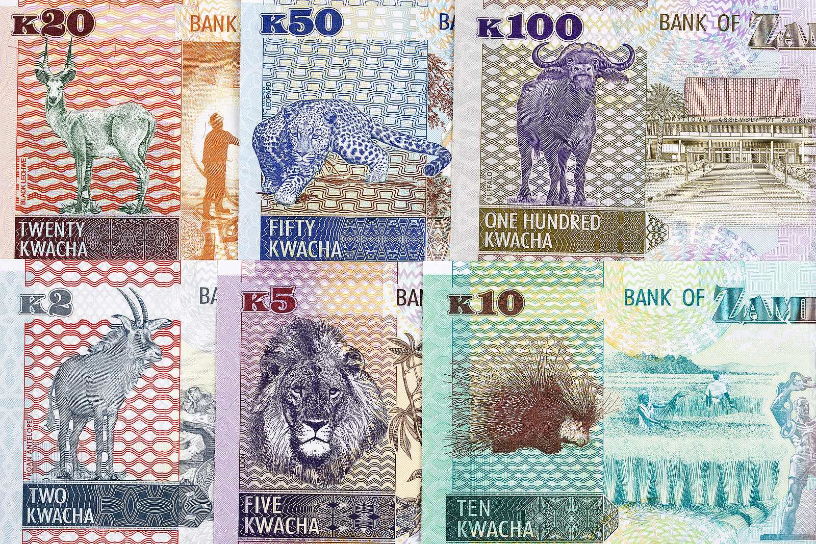 [Zambia] Investors should employ local experts