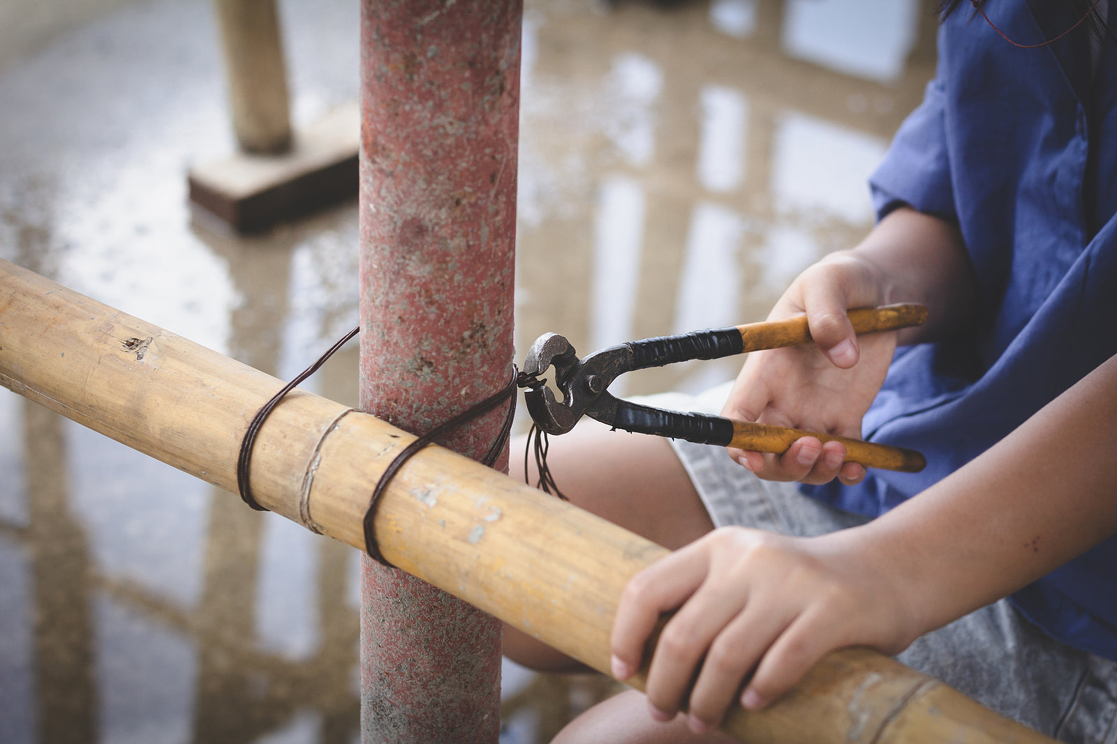 [China] Report denies ‘forced labour’ accusations