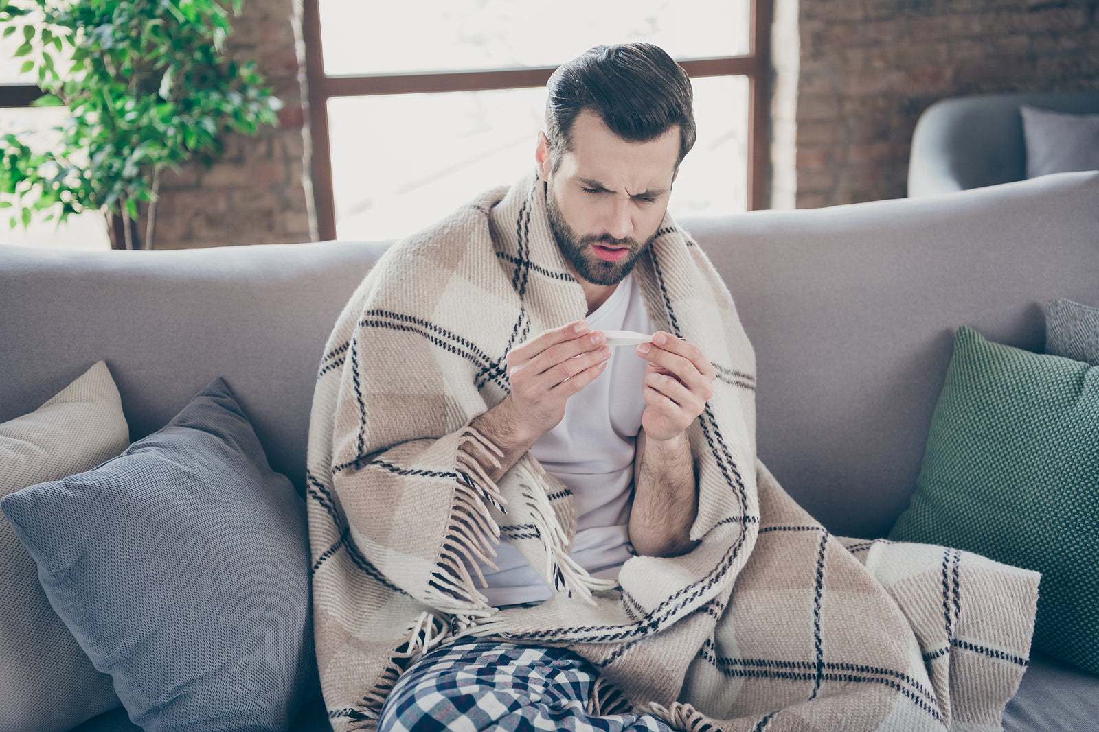 [Ireland] Every worker will be entitled to 10 days sick leave