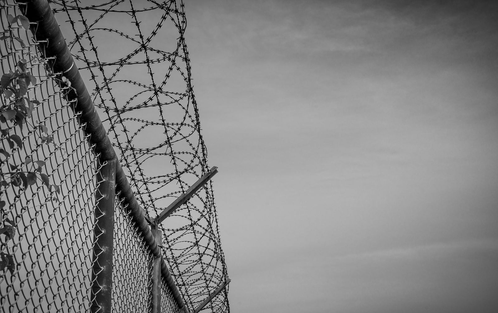 [Australia] Plutus Payroll founder sentenced for role in fraudulent syndicate