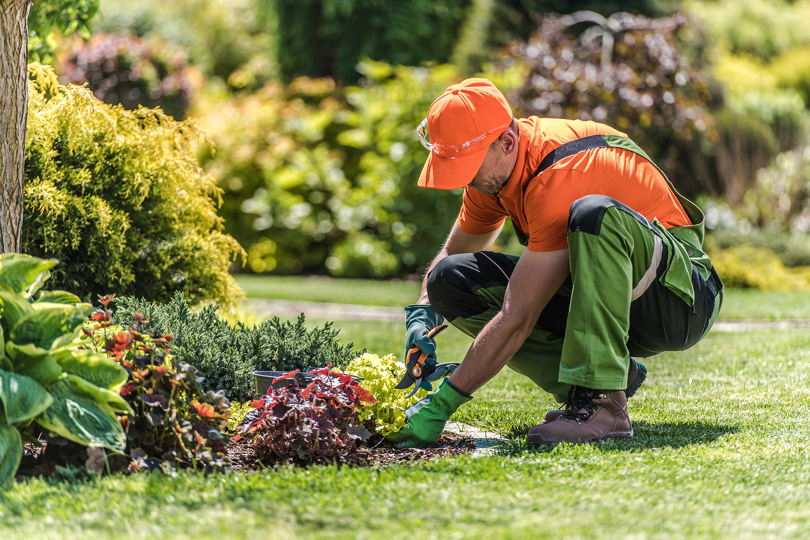 [US] Backpay award for employees with developmental disabilities