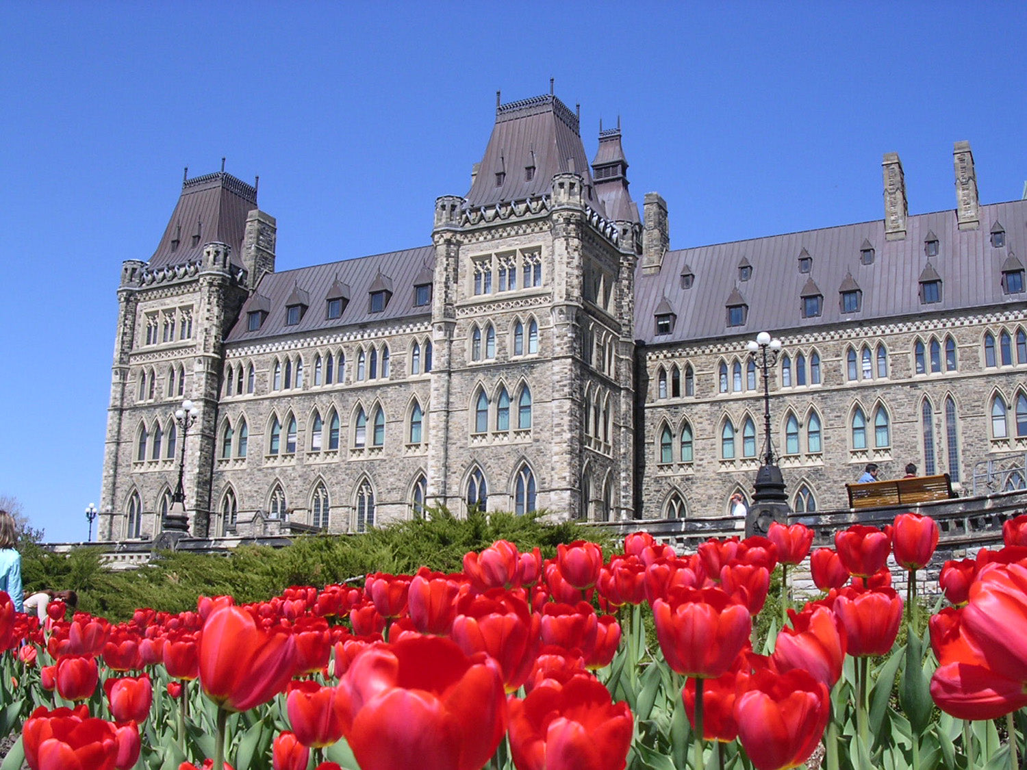 [Canada] Employment insurance measures for workers impacted by foreign tariffs