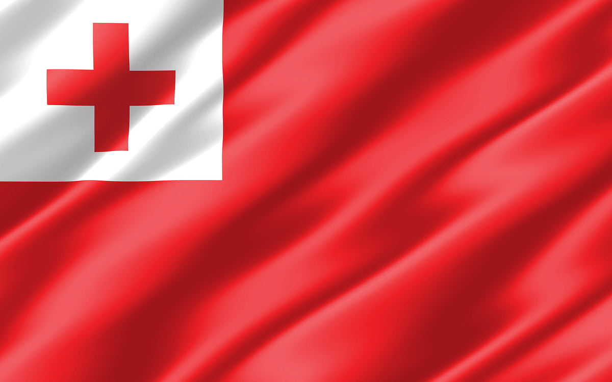 [Tonga] Chamber says timing wrong for Employment Relations Act 2020