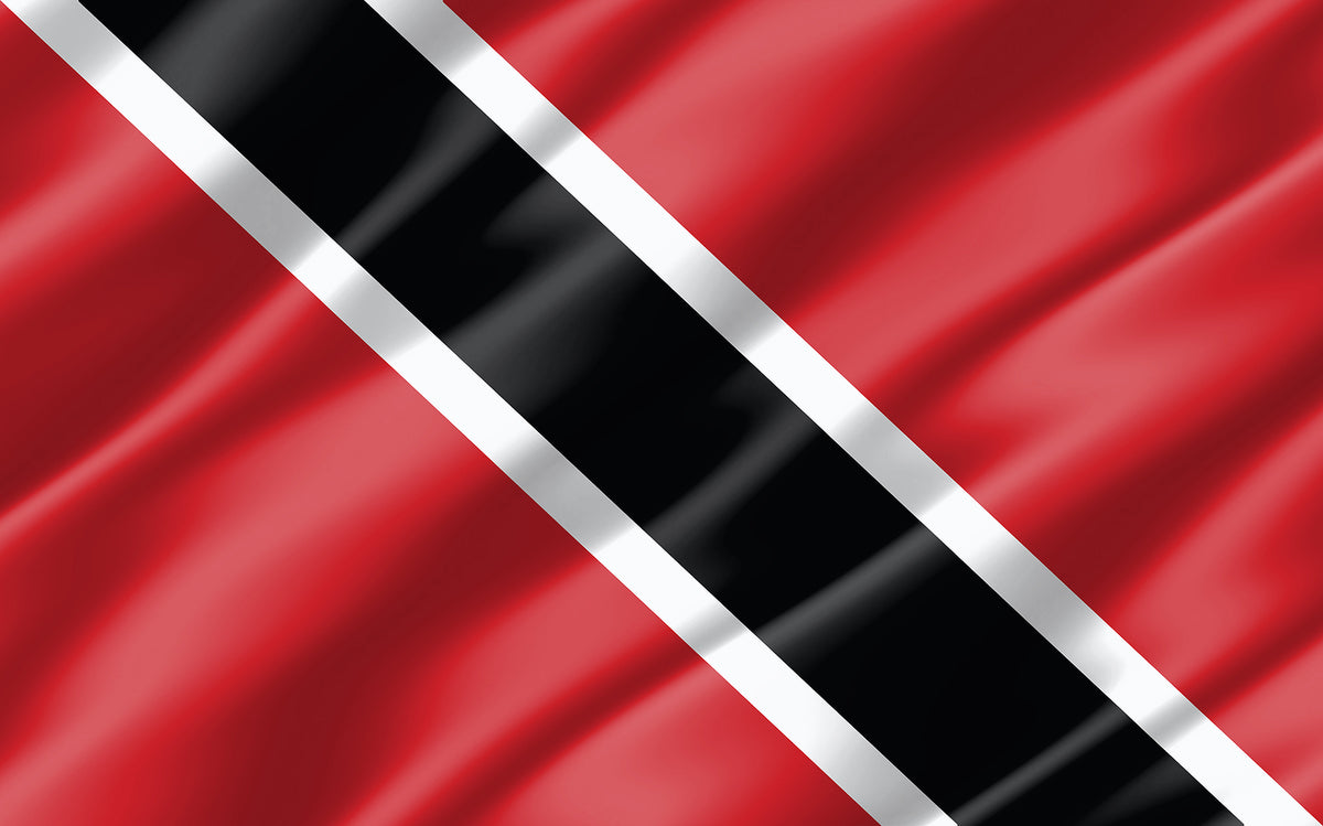 [Trinidad and Tobago] Delinquent employers owe hundreds of millions to NIB
