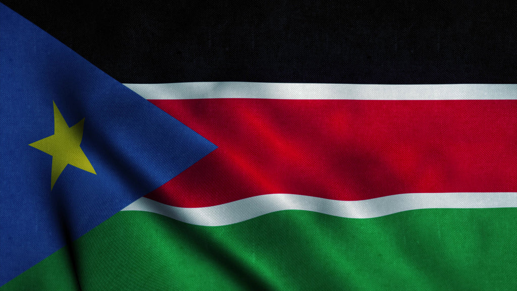 [South Sudan] Workforce audit to tackle payroll irregularities launched - South Sudan flag, South Sudan government launches payroll audit