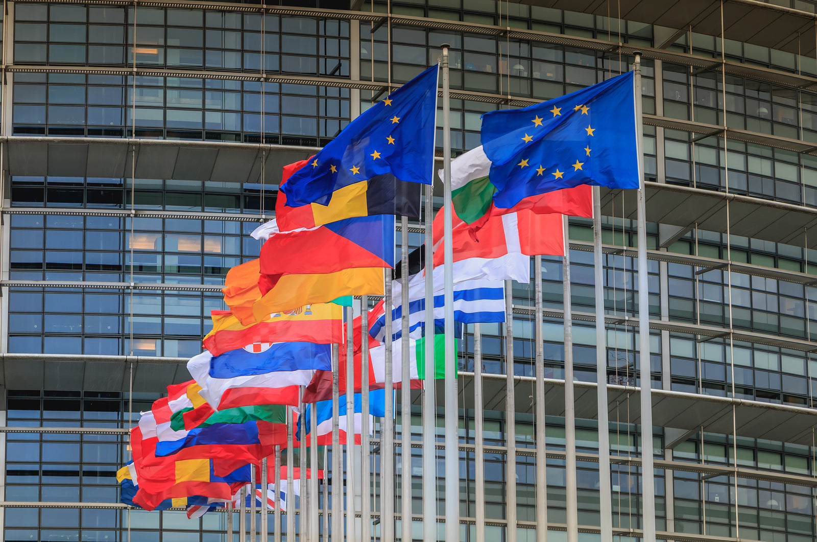 Posted EU workers given same working conditions as native staff